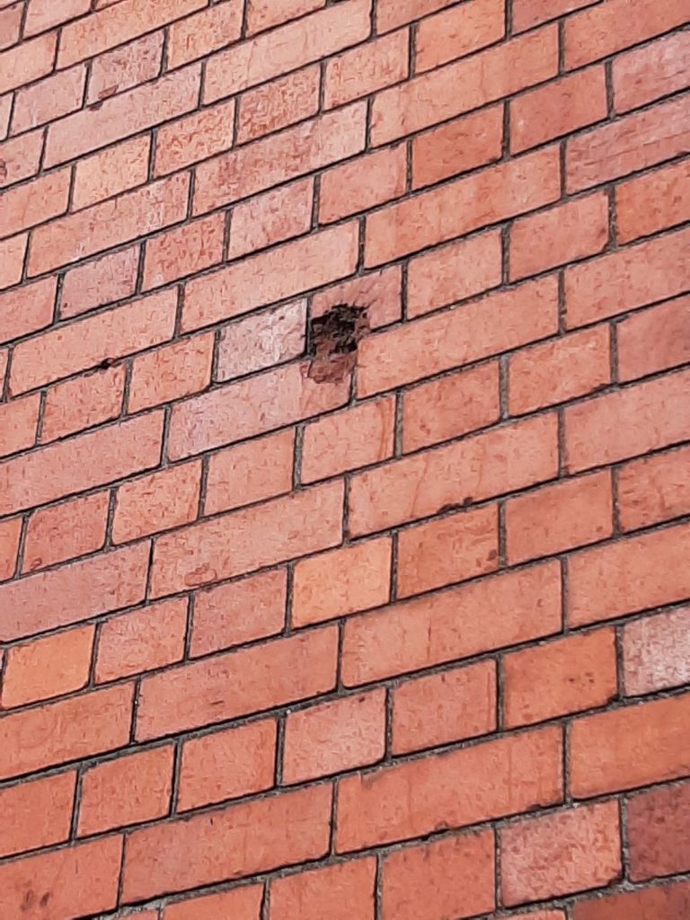 Llys Glas: Spot pockmarks in the red brick—shrapnel scars that still whisper stories of Swansea’s wartime resilience.